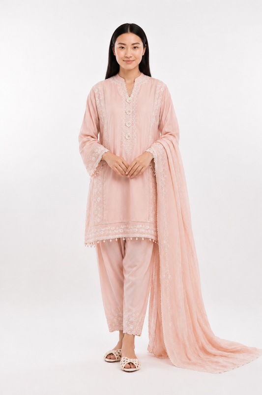 Stitched Embroidered Lawn Suit